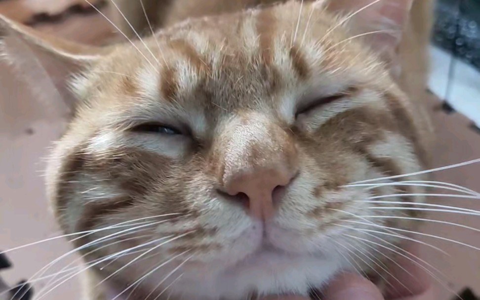 一舒服就鬼迷日眼的