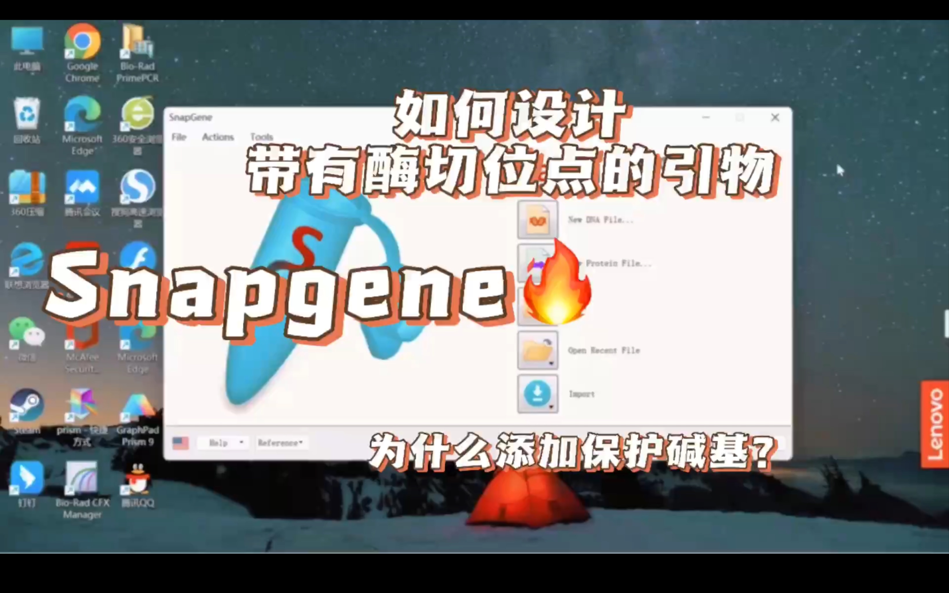 Snapgene3 如何设计带有酶切位点的引物?什么是保护碱基?哔哩哔哩bilibili