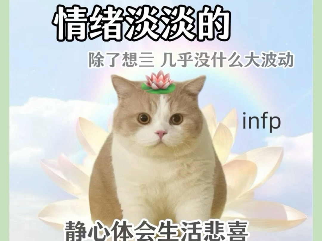 infp正式确诊为最淡的淡人哔哩哔哩bilibili