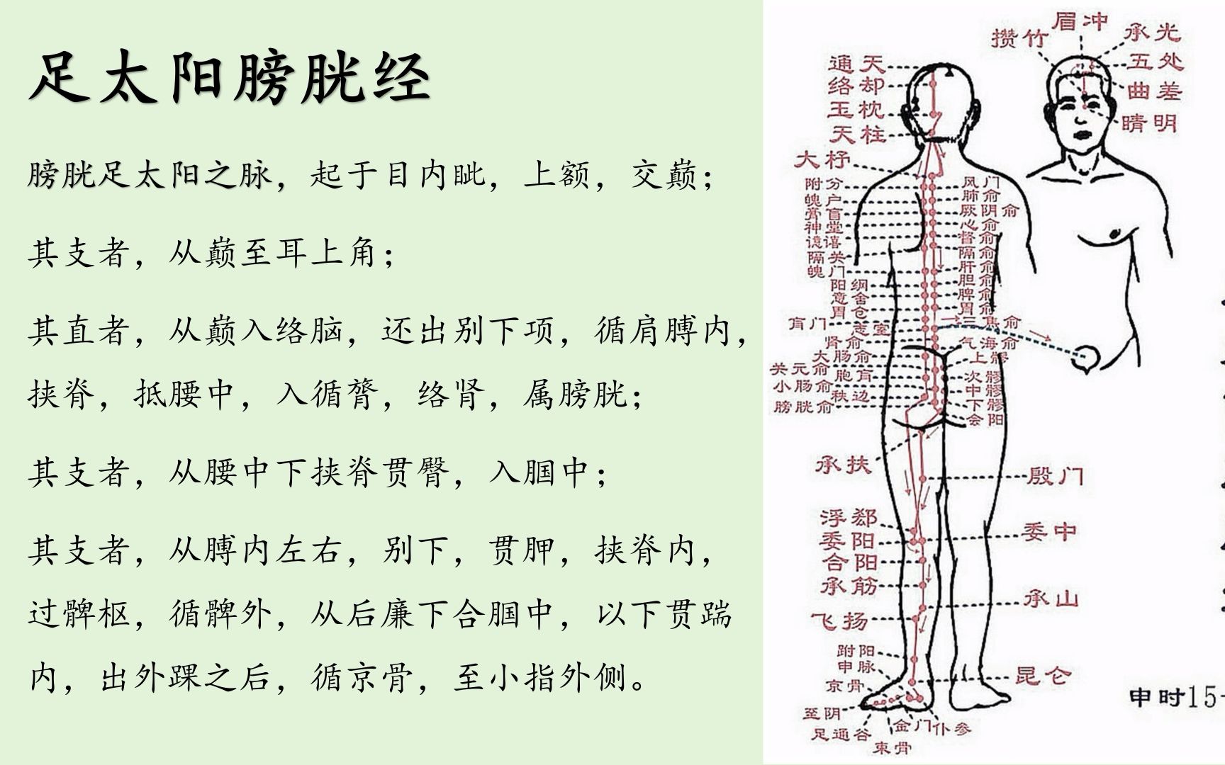 [图]十二经络唱歌背诵法--《足太阳膀胱经》#外婆的澎湖湾#