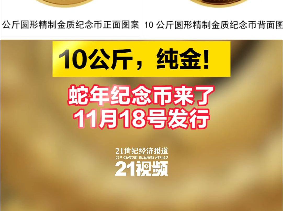 10公斤,纯金!蛇年纪念币来了,11月18日发行哔哩哔哩bilibili