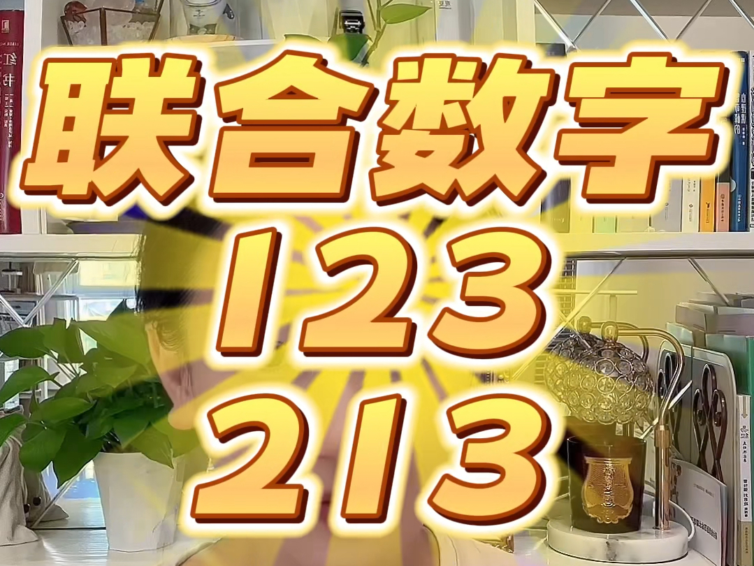 81组联合数字—123/213讲解#81组联合数字#生命数字#联合密码#生命密码#数字心理学哔哩哔哩bilibili