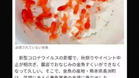 音声読上げ 常盤貴子さん聖火走者辞退 石川若村麻由美さんに交代 哔哩哔哩 つロ干杯 Bilibili