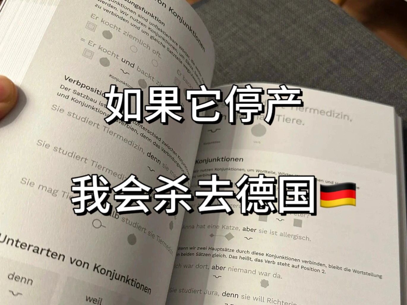 [图]【德语】德语语法可视化宝典|建议学德语的宝子都去死磕这本书