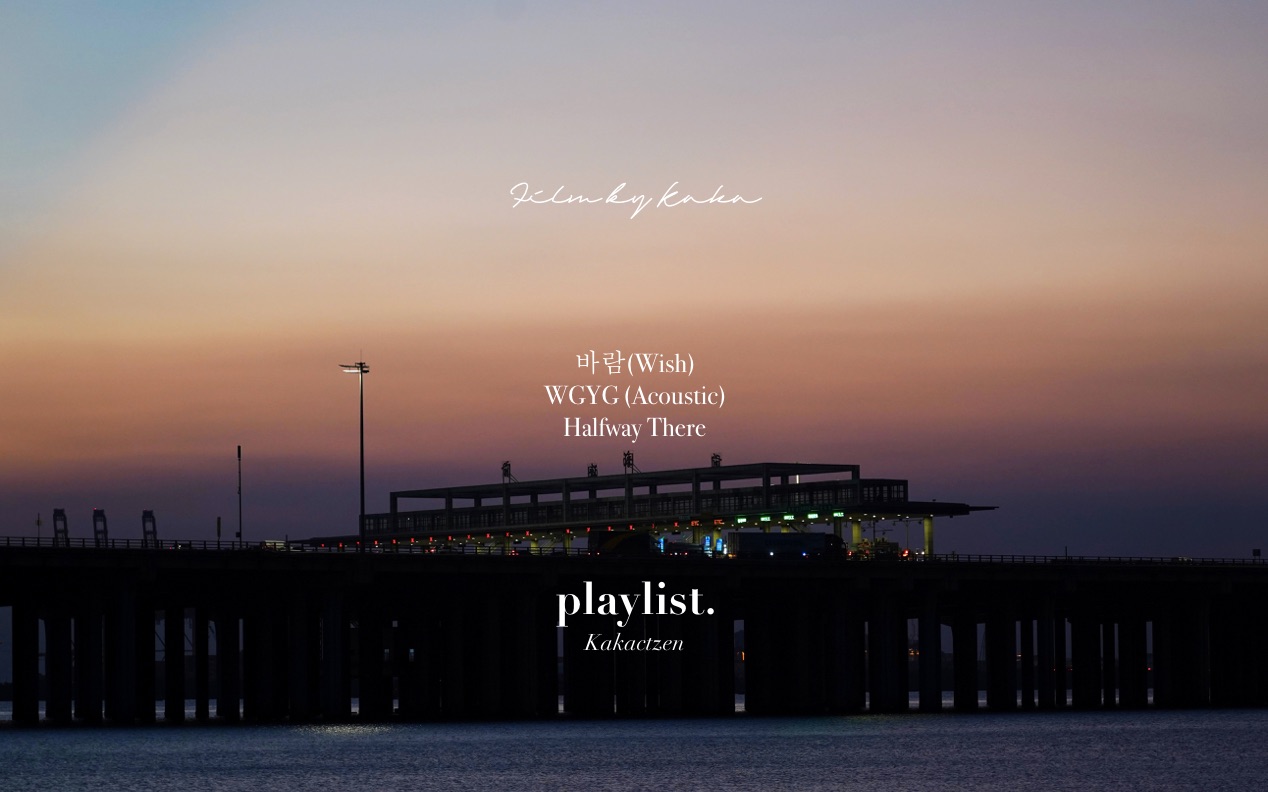 [playlist]漫漫长夜/深夜歌单/粉紫黄昏/舒缓情绪/光影交错