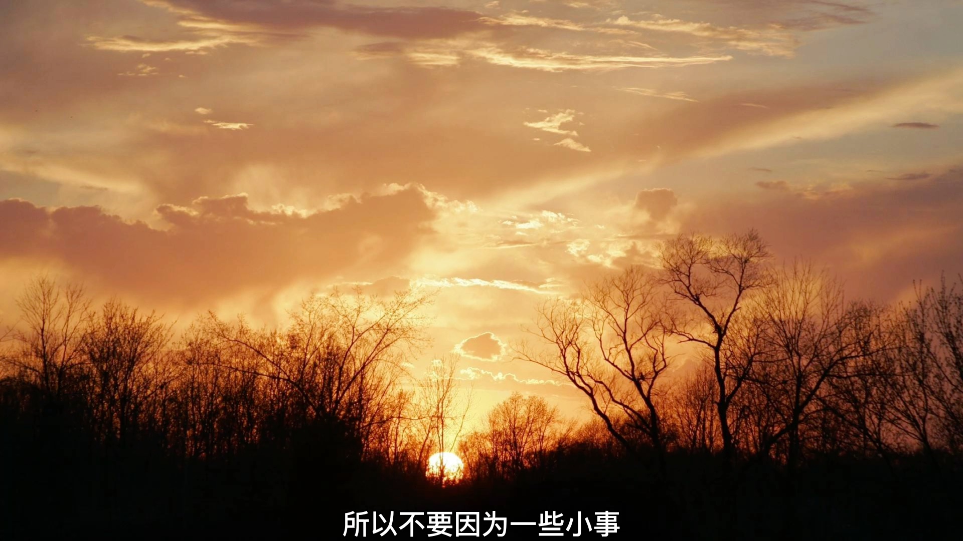 一切都会过去,你经历过的我都有经历过.