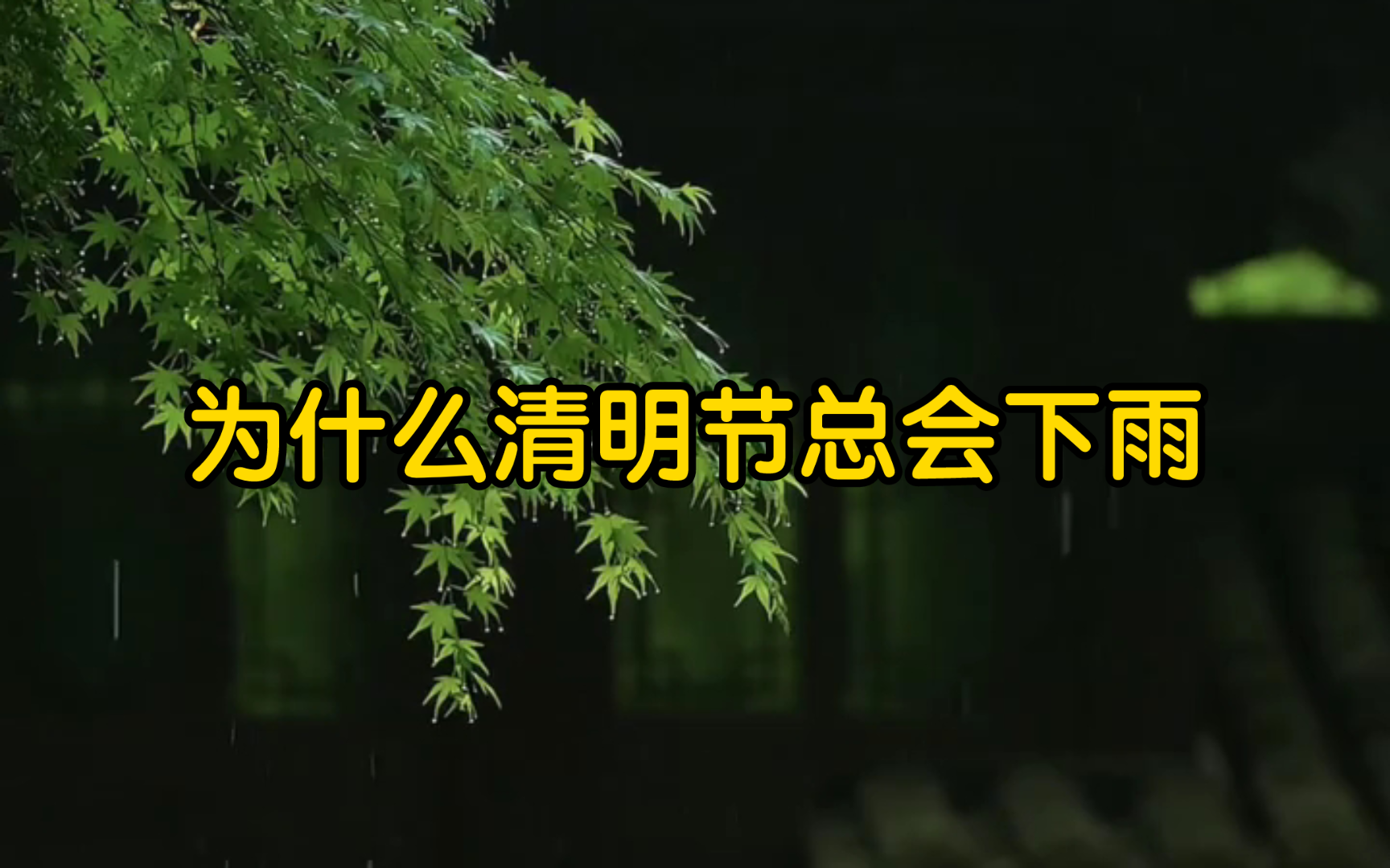 逝去的人藏在云里,下雨的时候回来看你...＂【清明时节雨纷纷】【清明节】哔哩哔哩bilibili