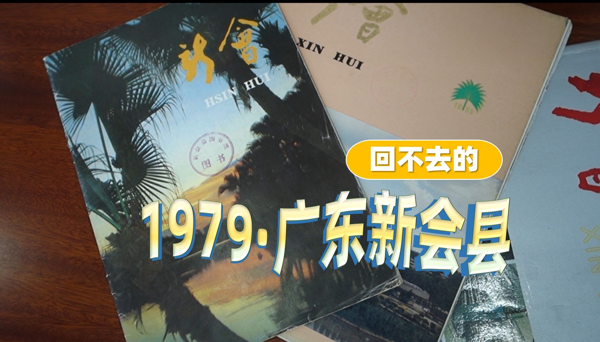 【广东新会】1979年!带大家回到当年的葵乡新会哔哩哔哩bilibili