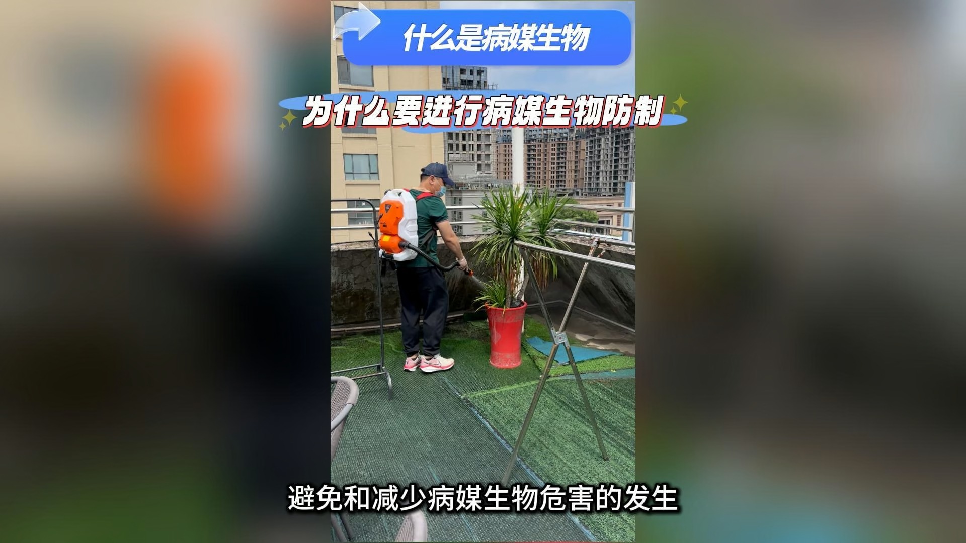 什么是病媒生物?为什么要进行病媒生物防制?哔哩哔哩bilibili