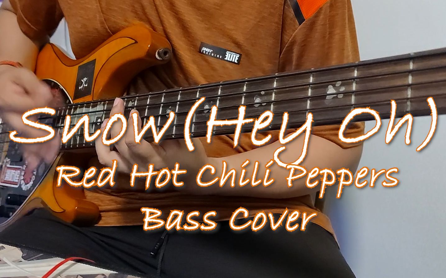 [图]【贝斯】Red Hot Chili Peppers-Snow(Hey Oh) bass cover