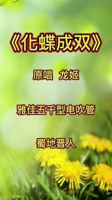 《化蝶成双》原唱 龙姬