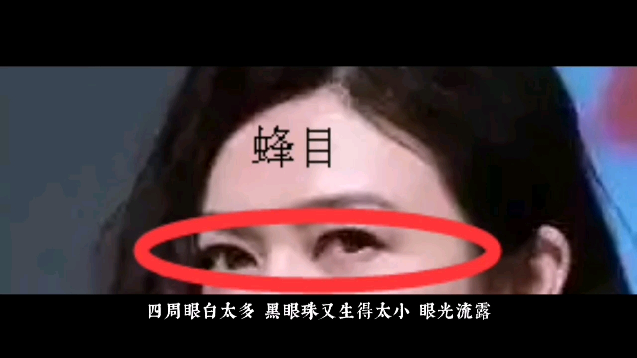 蜂目的女性怎么样呢?哔哩哔哩bilibili