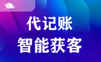 雅安代帐会计软件,代帐会计软件哪家公司比较好?哔哩哔哩bilibili