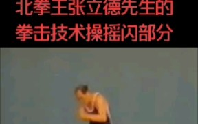 【搬运】张立德先生摇闪技术演示哔哩哔哩bilibili