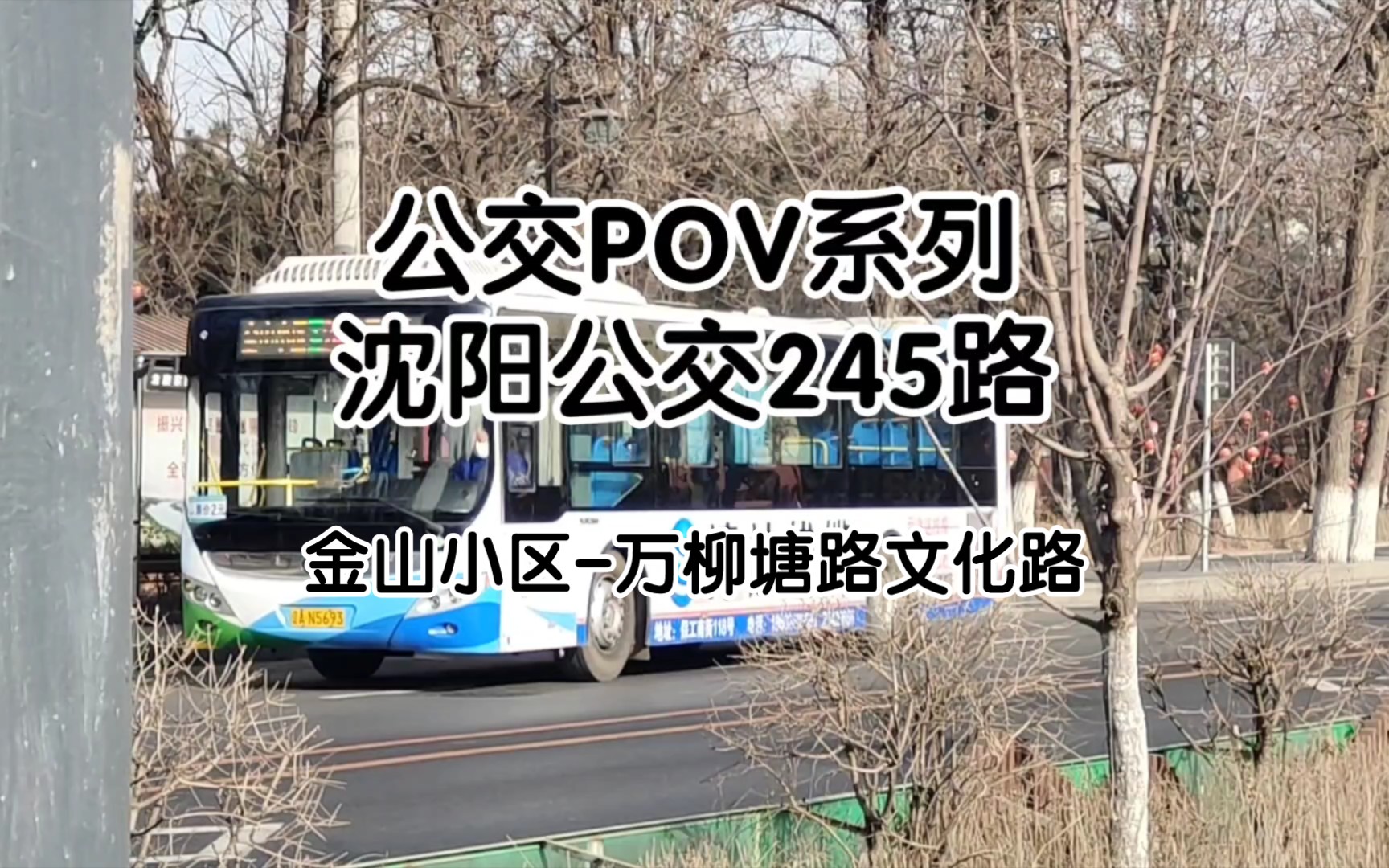 瀋陽公交pov01-瀋陽地鐵10號線區間車245路