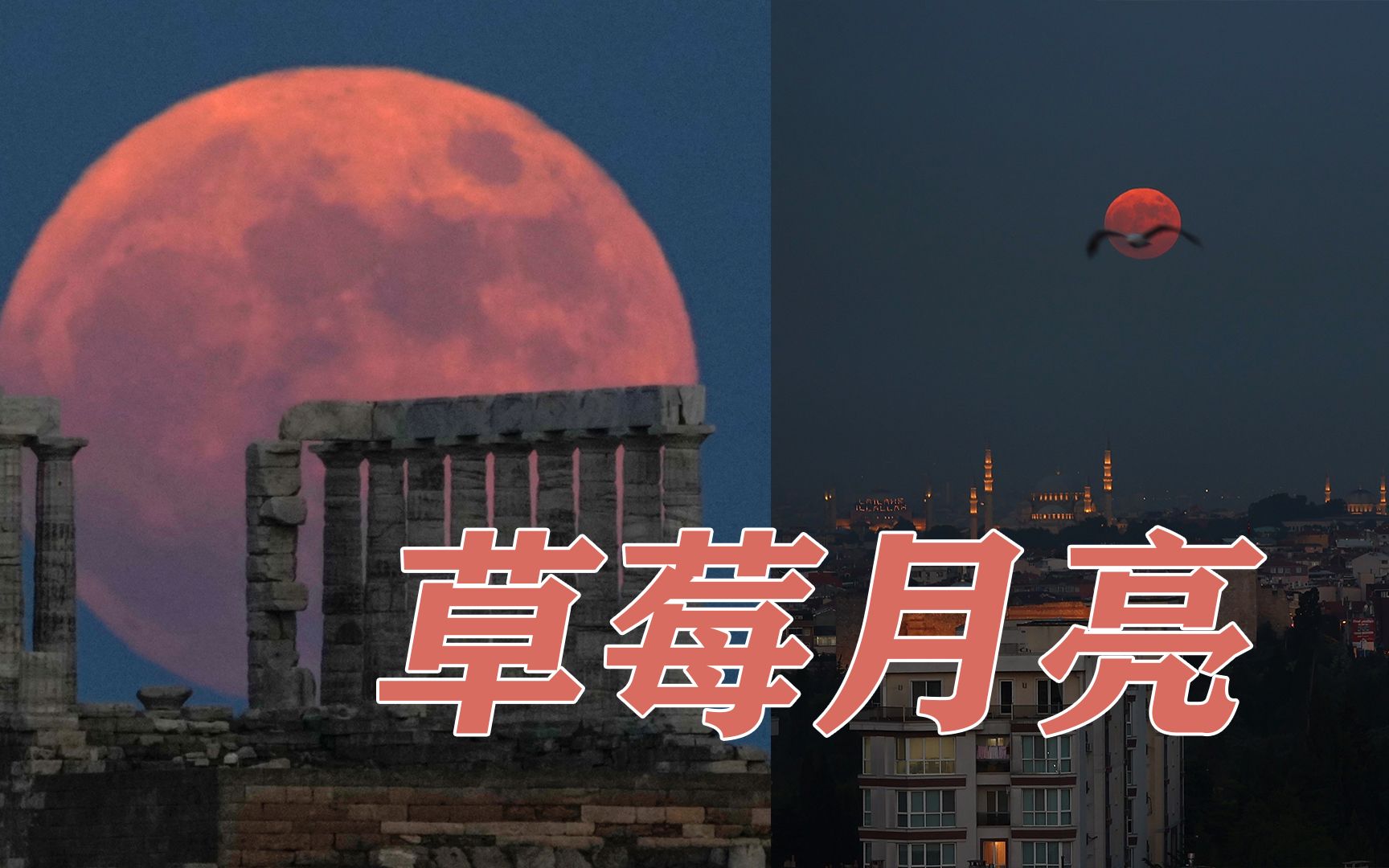 快来许愿!今年最后一个超级月亮,"草莓月亮"照亮多国夜空