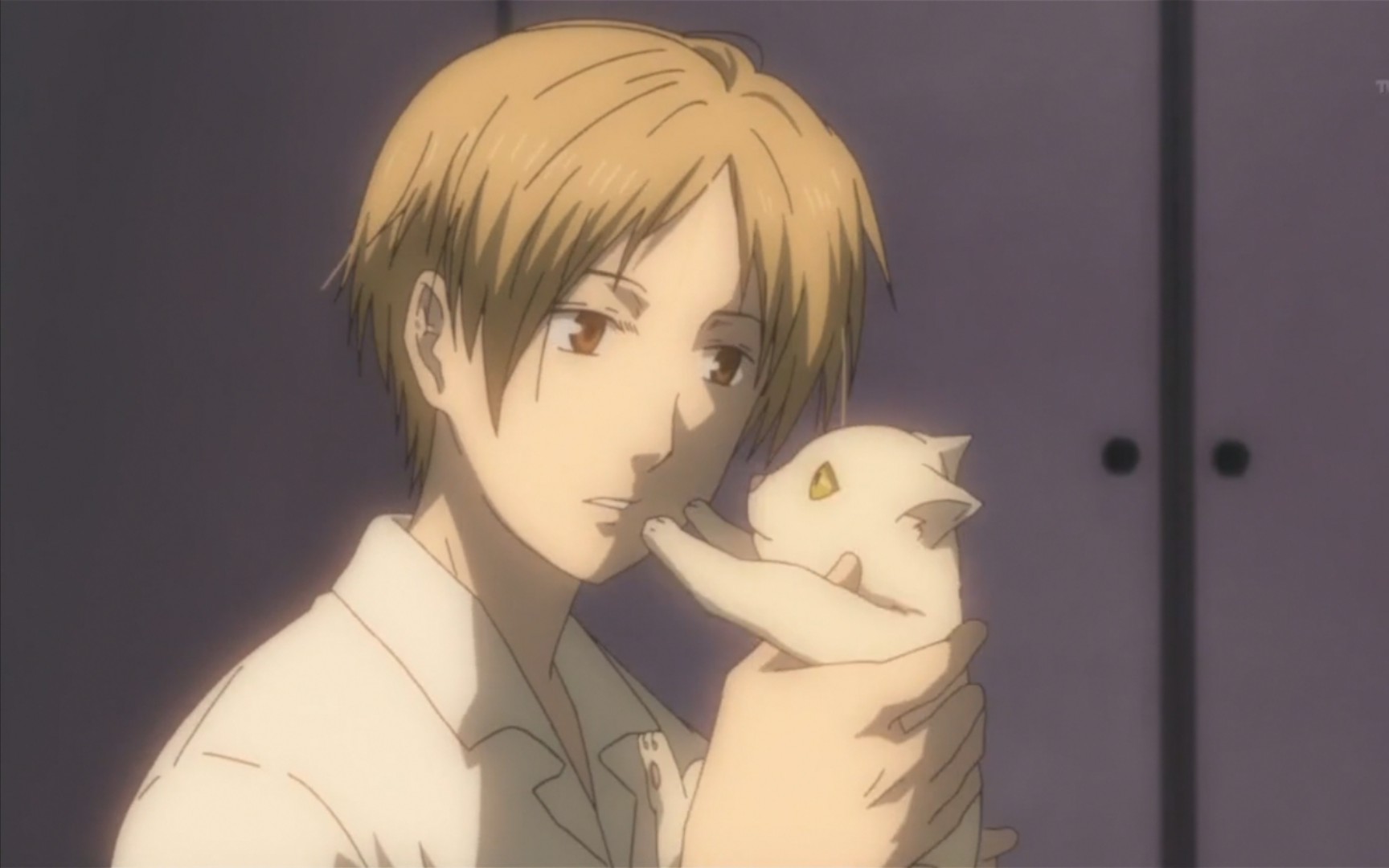 夏目友人帐为夏目打架打输了的娘口三三回来看见夏目竟然有了别的猫