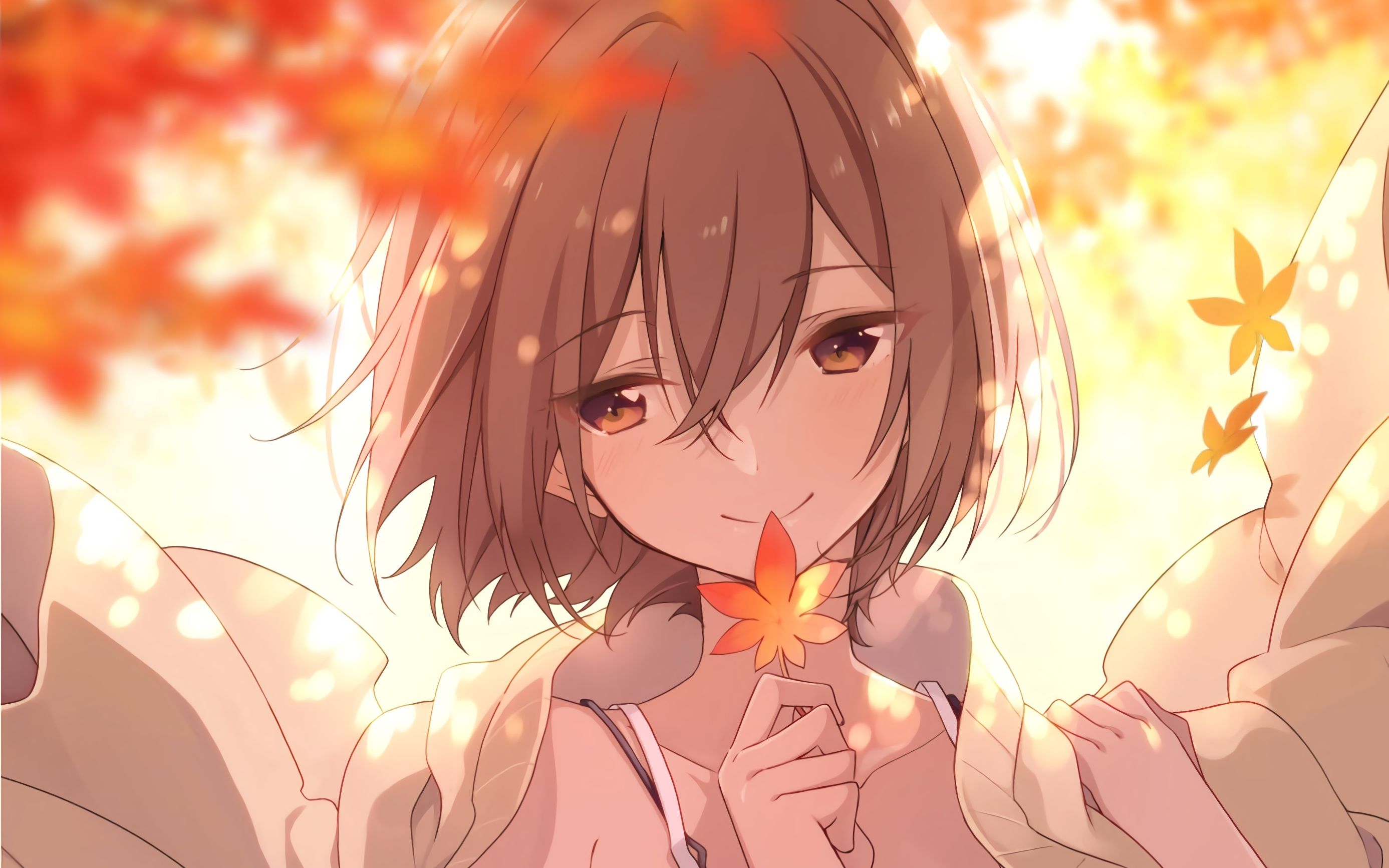 【动态壁纸】枫叶下的少女