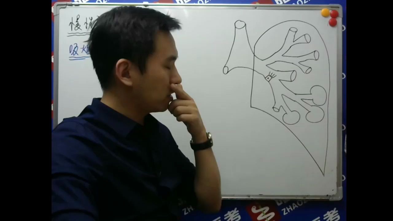 昭昭老师 2021考研西综 内科学 慢性阻塞性肺疾病!