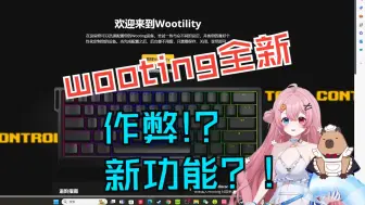 Download Video: wooting新·作弊级别新功能-你停住了吗就一枪头？SOCD/RS 设置教程