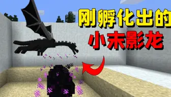 我的世界 我要养末影龙 但是该怎么孵化龙蛋 太费脑了 哔哩哔哩 Bilibili