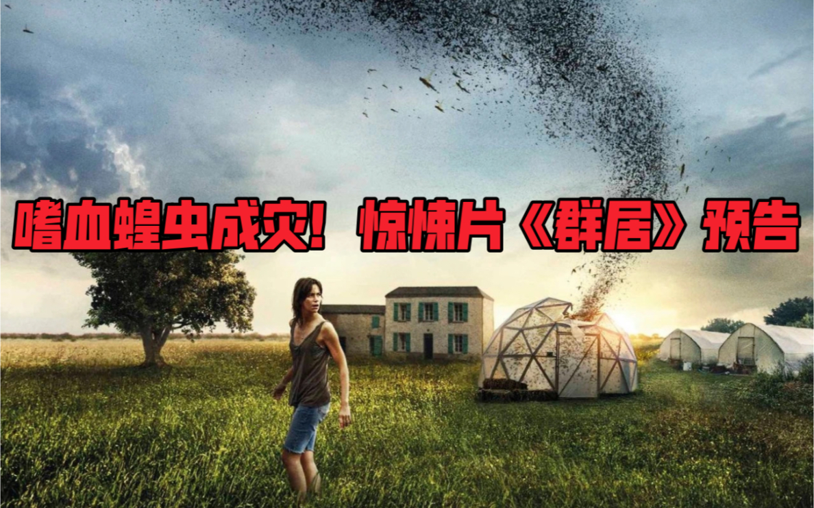 嗜血蝗虫成灾netflix法语恐怖惊悚片群居预告8月6日上线netflix