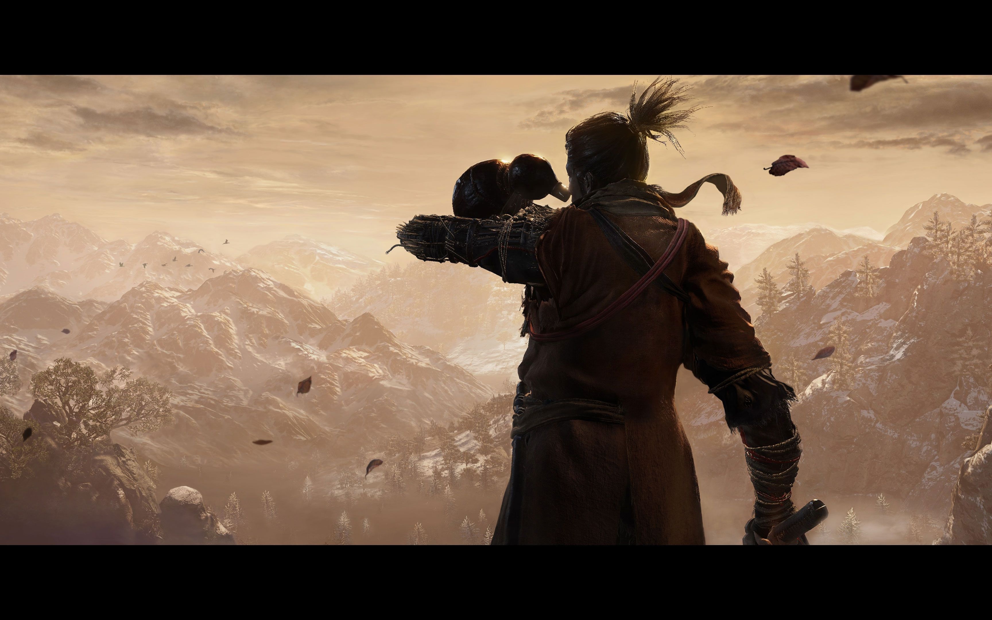 只狼鬼刑部通用逃课打法再也不用接快慢刀了非跳崖适合任何难度