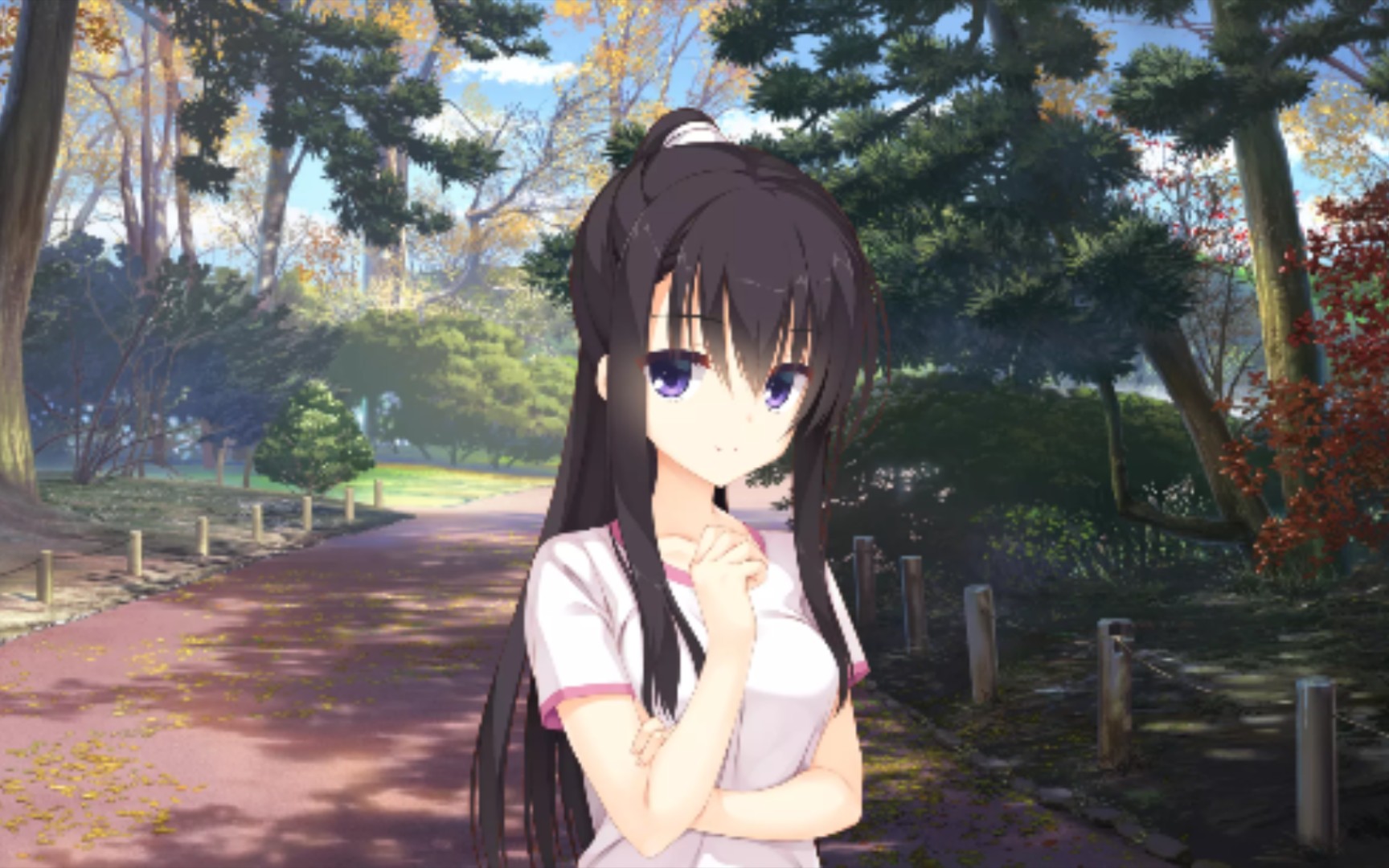 大型纪录片〔二条院羽月传奇