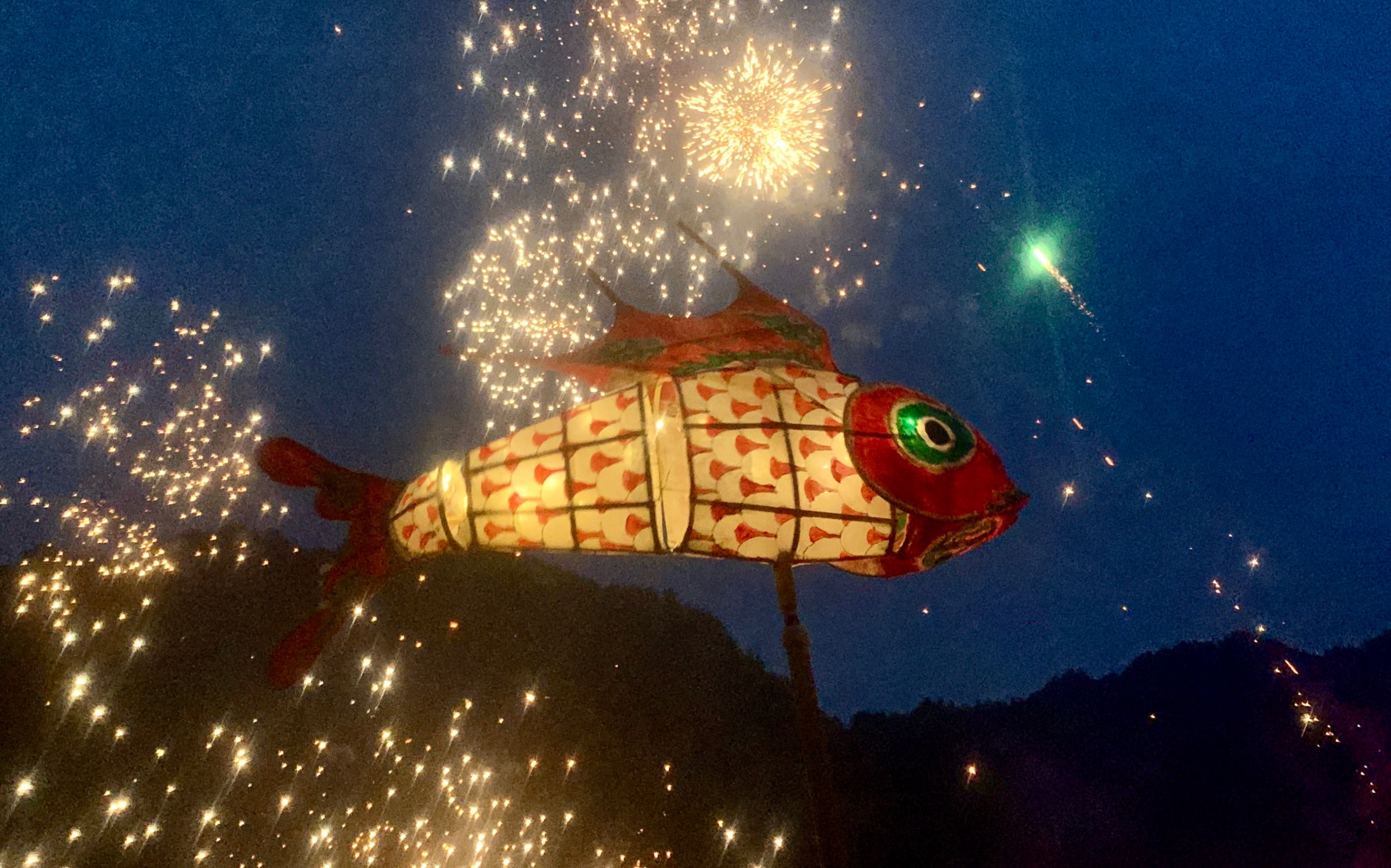 东风夜放花千树,一夜鱼龙舞