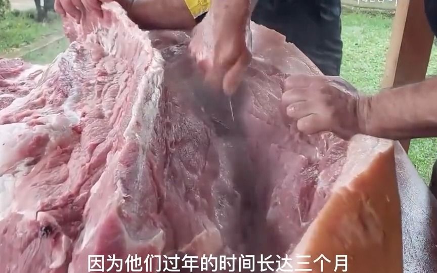 罗马尼亚人杀年猪分解猪肉,方式让人没想到,还一边手撕猪皮吃哔哩哔哩bilibili