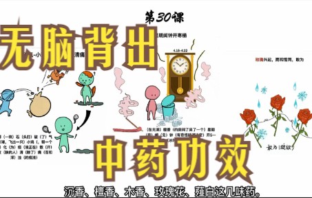 中医考研带背|3分钟背中药,手绘让你过目不忘!(第30课)中药速记带背!考研,期末!助眠滚动记忆哔哩哔哩bilibili