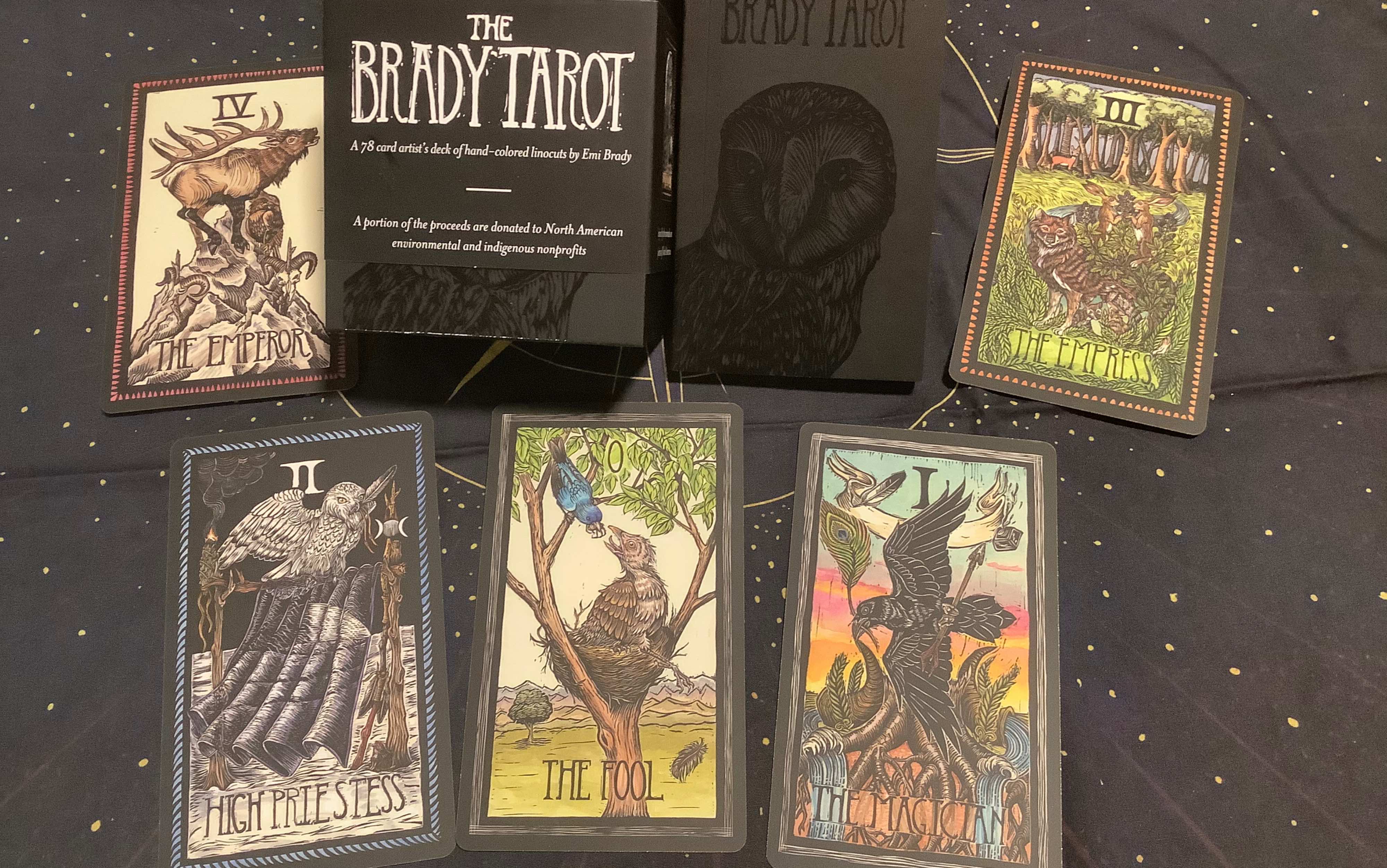 [图]塔罗牌开箱和牌面分享 「The Brady Tarot」