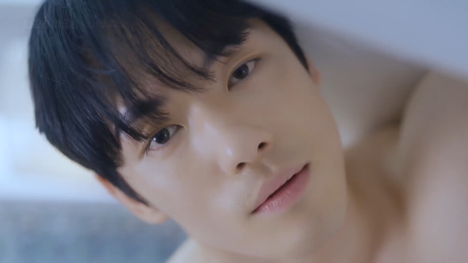 【金正贤】 熨斗家族>预告第二版|无字版