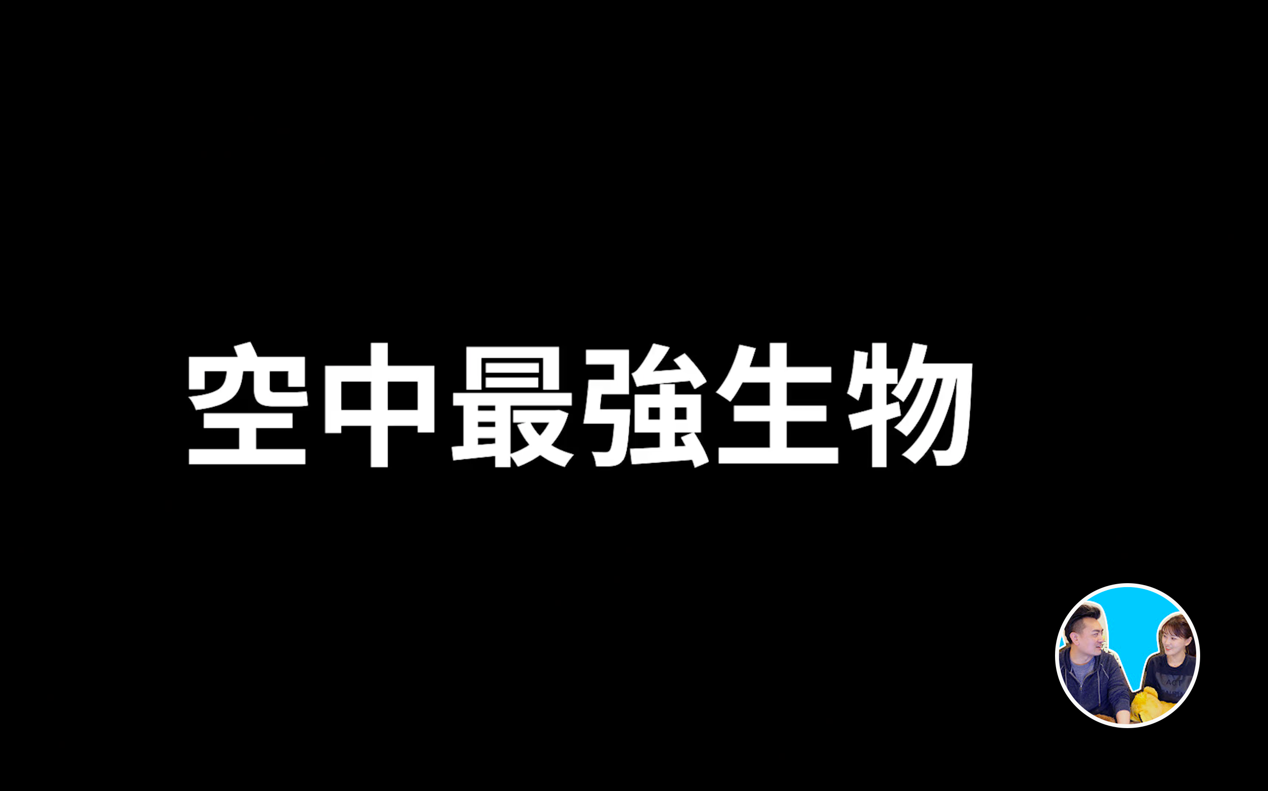 YT老高与小茉空中最可怕的生物哔哩哔哩bilibili