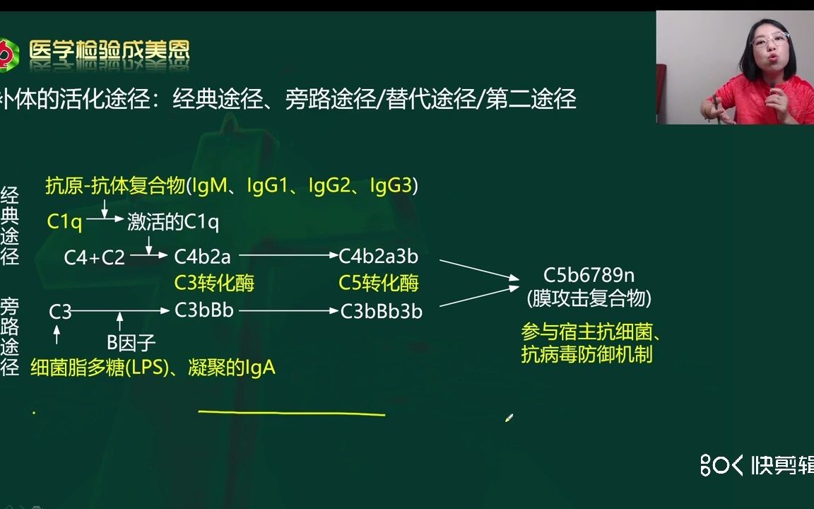 [图]补体的活化途径——医学检验讲师（成美恩）