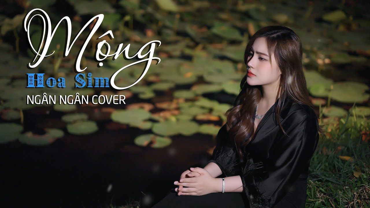 [图]【越南歌曲】MỘNG HOA SIM - NGÂN NGÂN COVER | 桃金娘之梦