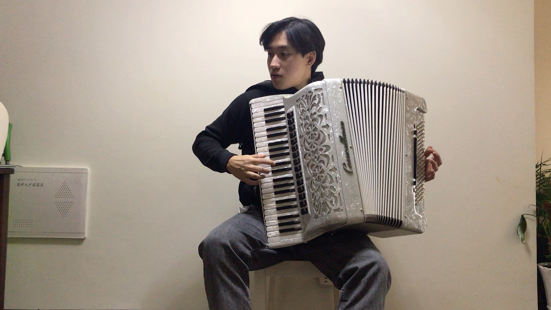 手风琴小酸梅果
