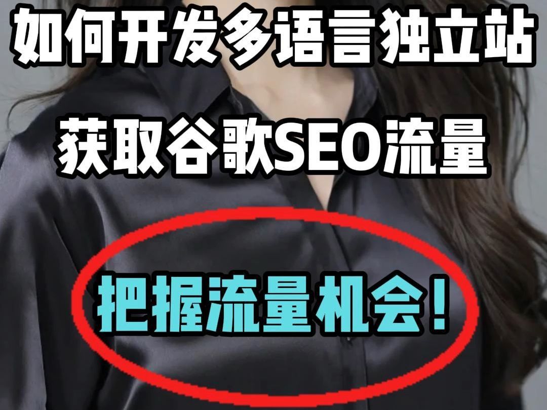 如何开发多语言独立站获取谷歌SEO流量?哔哩哔哩bilibili