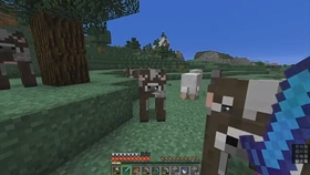 Minecraft 原味生存25 建造无砖生怪塔 无红石 我的世界 Java 1 16 1 橘子卜卜 哔哩哔哩 つロ干杯 Bilibili