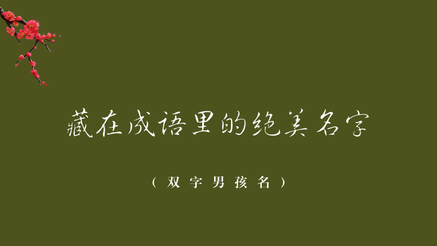 那些藏在成语里的绝美男孩名(双字)哔哩哔哩bilibili