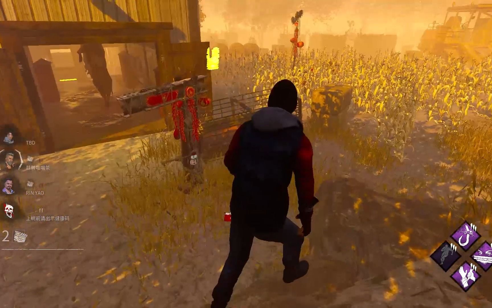 [黎明杀机]过年回老家的田野里与姐姐弟弟玩老鹰捉小鸡