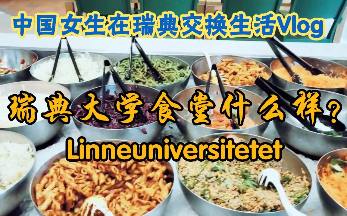 瑞典大学食堂什么样?真的很像宜家哈哈哈,今天天气超好,去食堂奖励自己一顿吧!哔哩哔哩bilibili