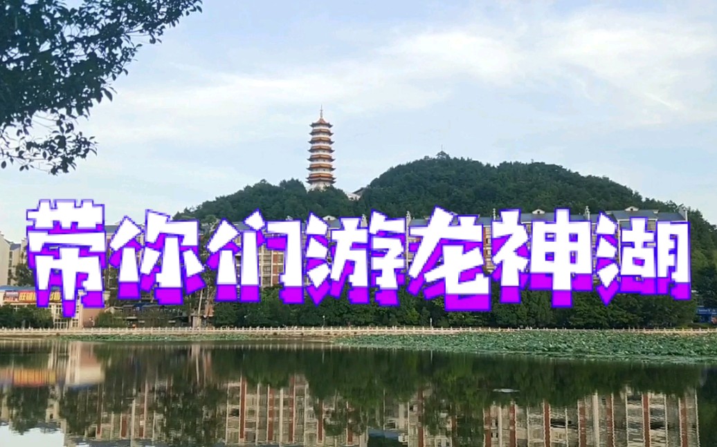 带你们去游我们定南的龙神湖,夏天到了不就是要去游山玩水赏荷花吗!