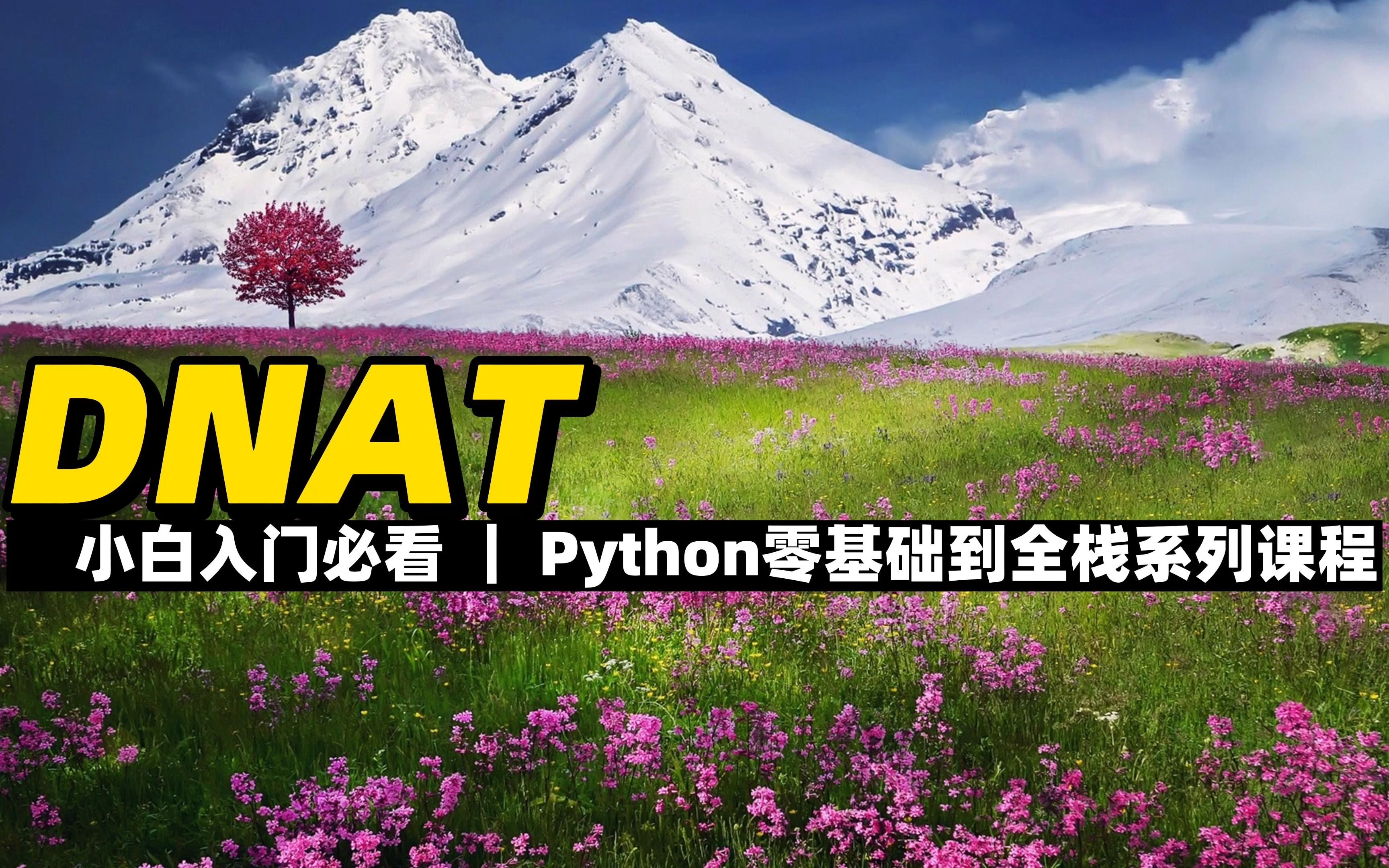 DNAT  《Python零基础到全栈系列》哔哩哔哩bilibili