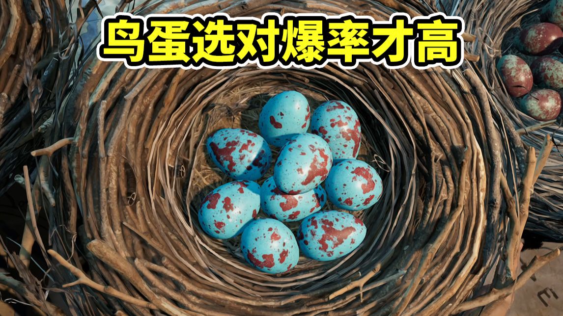 幸运鸟窝选对蛋更容易出货！实测两天教你选蛋！【三角洲行动】