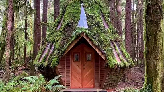 国外大神自制林中小屋,超级美!
