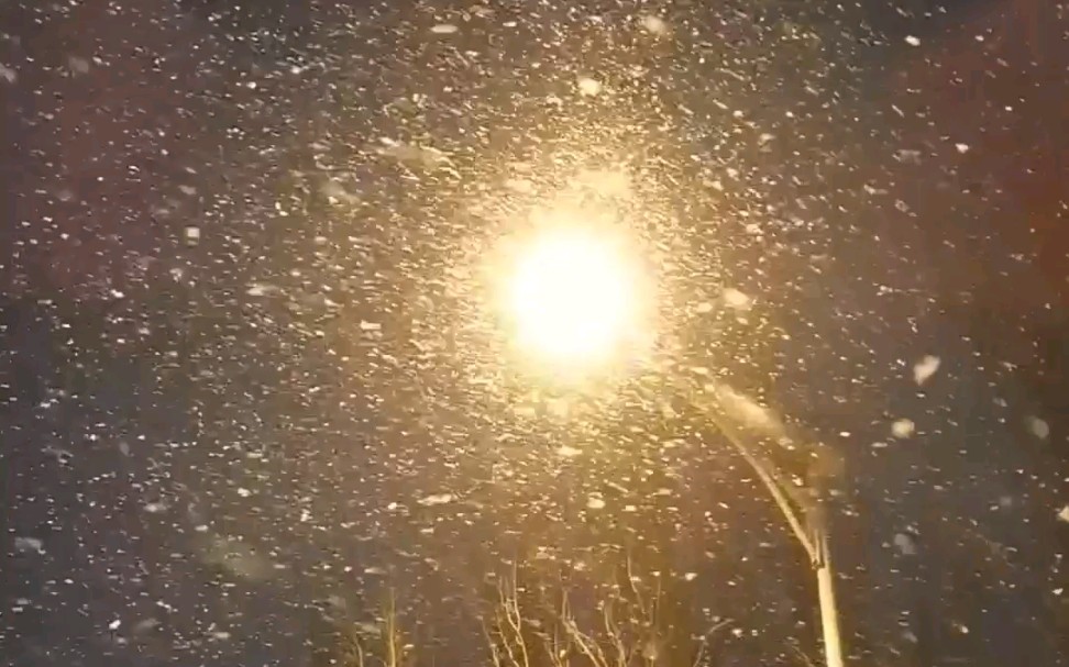 路灯下飘雪