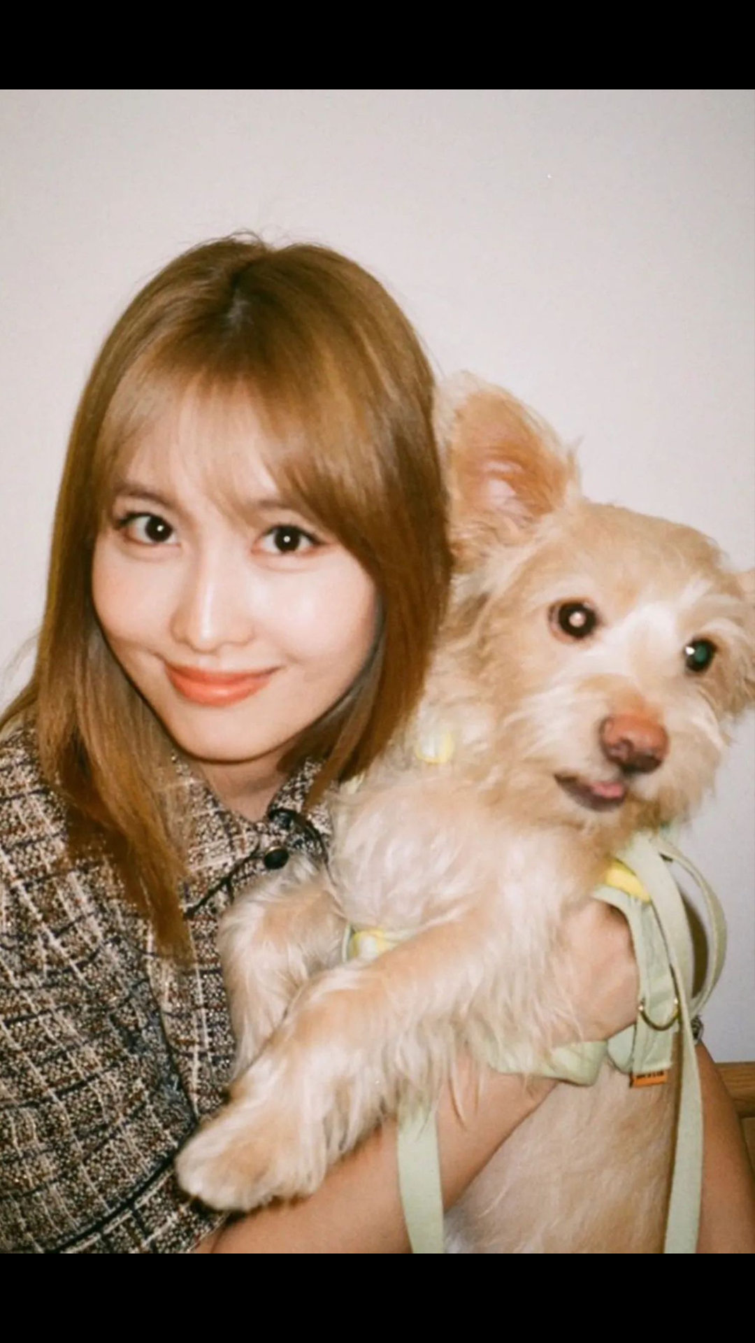 momo平井桃happy9100day