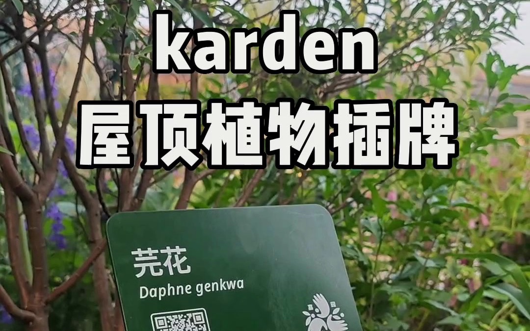 Karden屋顶植物插牌哔哩哔哩bilibili