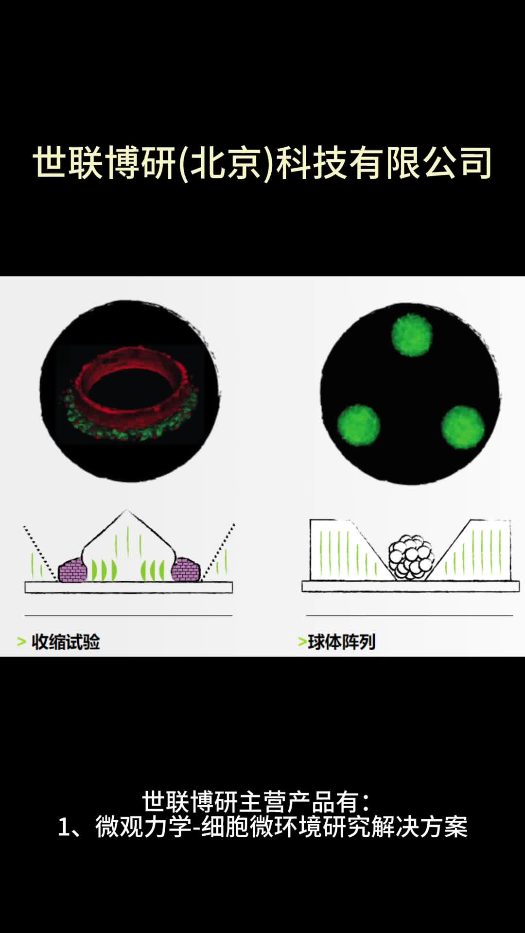 血栓分析系统、聚焦超声处理仪等产品,世联博研,多年经验,专业供应! ,微重力、超重力细胞培养仪器,血栓分析系统,微观力学细胞微环境研究解...